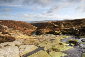 ponden moor 19 sm.jpg